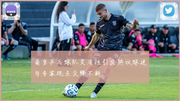 南京乒乓球队灵活性引发热议球迷与专家观点交锋不断