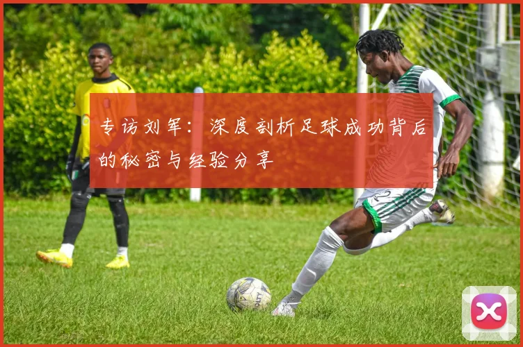 专访刘军：深度剖析足球成功背后的秘密与经验分享