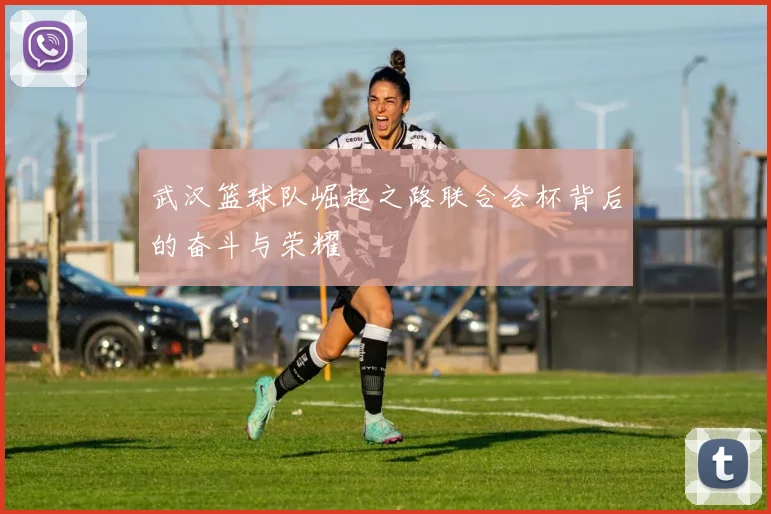 武汉篮球队崛起之路联合会杯背后的奋斗与荣耀