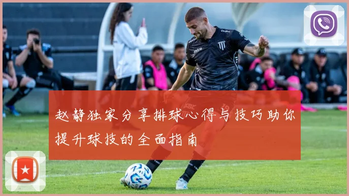 赵静独家分享排球心得与技巧助你提升球技的全面指南