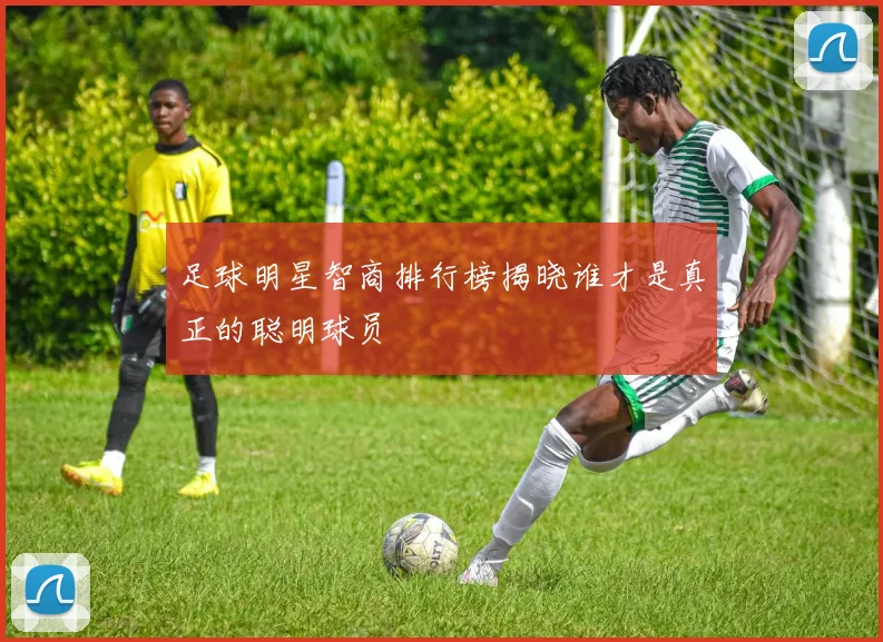 足球明星智商排行榜揭晓谁才是真正的聪明球员