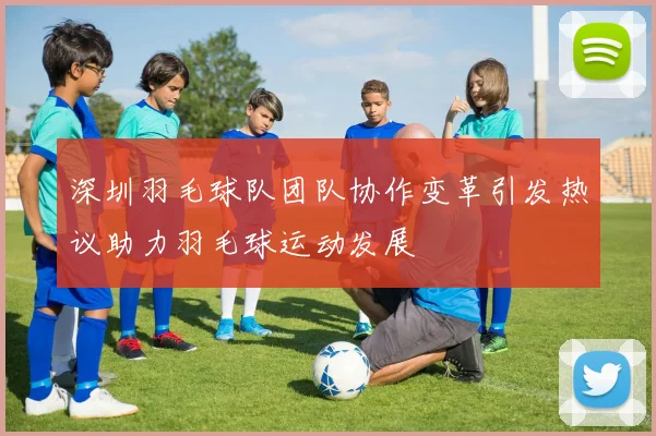 深圳羽毛球队团队协作变革引发热议助力羽毛球运动发展