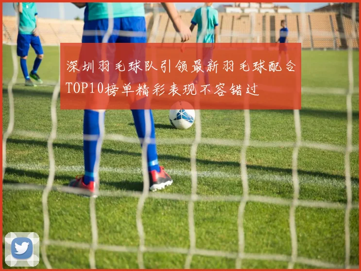 深圳羽毛球队引领最新羽毛球配合TOP10榜单精彩表现不容错过